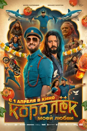 Королёк моей любви смотреть онлайн бесплатно в хорошем качестве